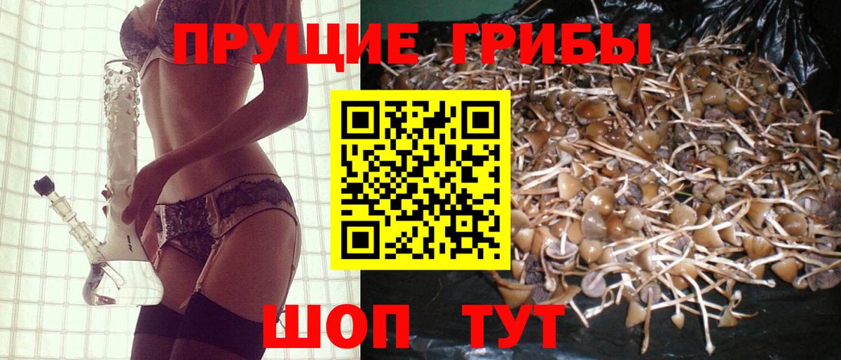 Дербент  Псилоцибиновые грибы GOLDEN TEACHER  Вход с VPN 